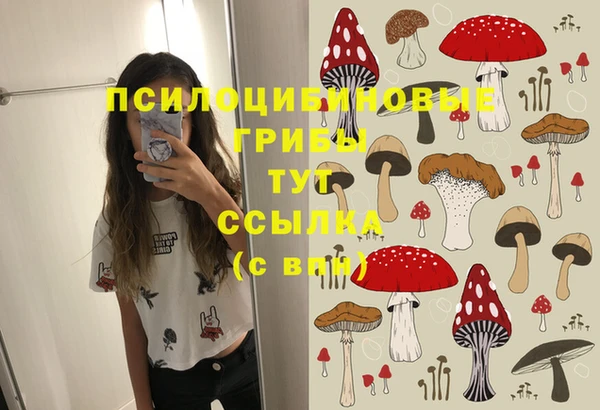 прущие крисы Кукмор